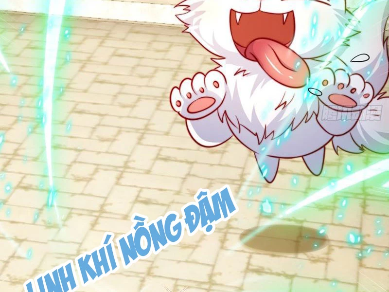 Ta Thực Sự Không Muốn Làm Thần Tiên Chapter 17 - Trang 3