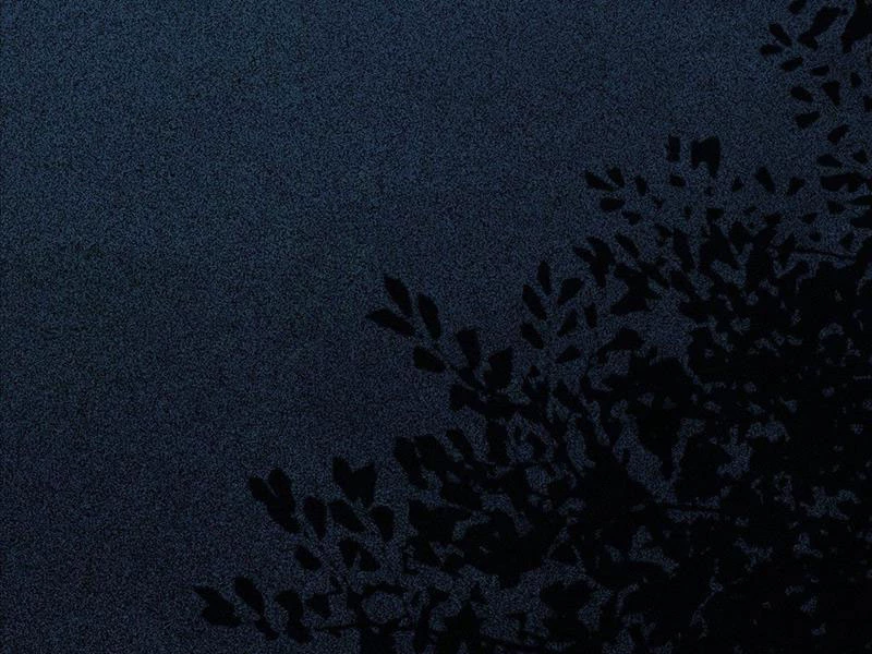 Ta Thực Sự Không Muốn Làm Thần Tiên Chapter 18 - Trang 3