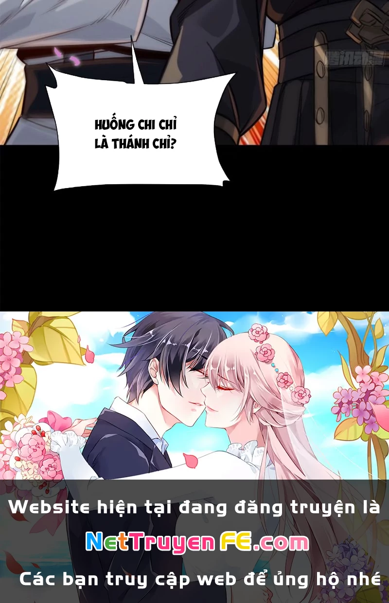 Tinh Giáp Hồn Tướng Chapter 229 - Next Chapter 230