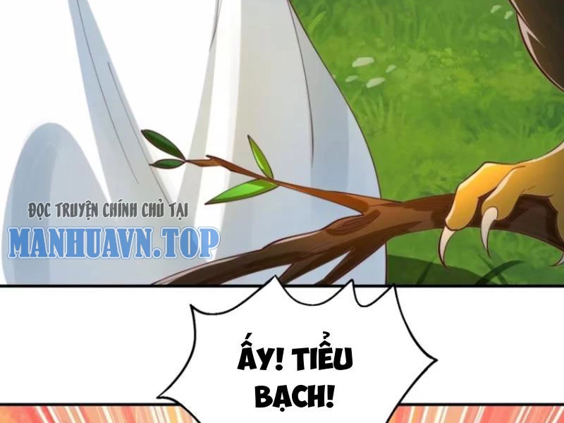 Ta Thực Sự Không Muốn Làm Thần Tiên Chapter 38 - Trang 3