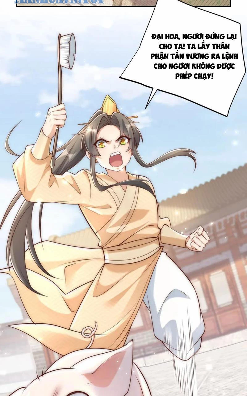 Ta Thực Sự Không Muốn Làm Thần Tiên Chapter 39 - Trang 3