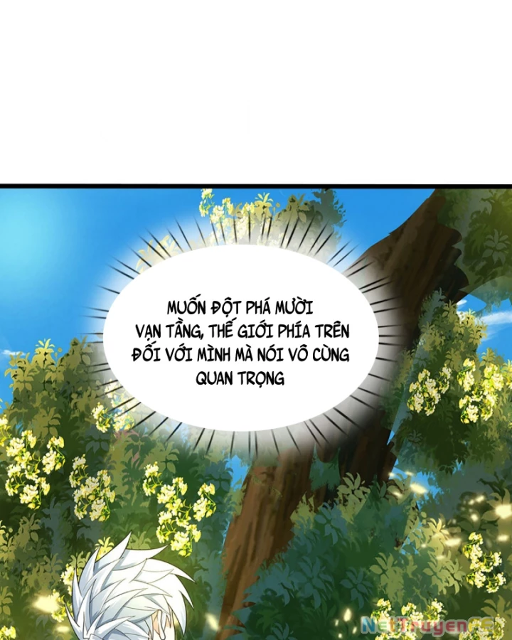 Luyện Thể Trăm Nghìn Tầng Chapter 387 - Trang 4