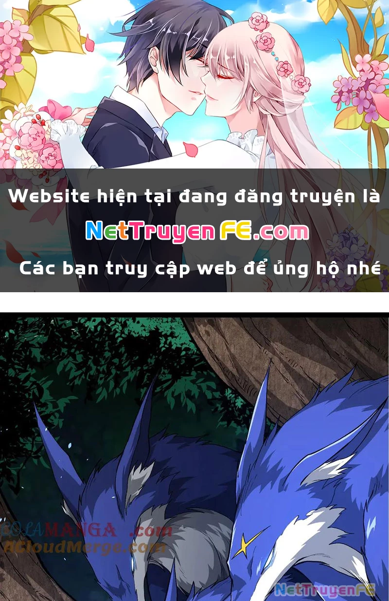 Chuyển Sinh Thành Liễu Đột Biến Chapter 272 - Trang 4