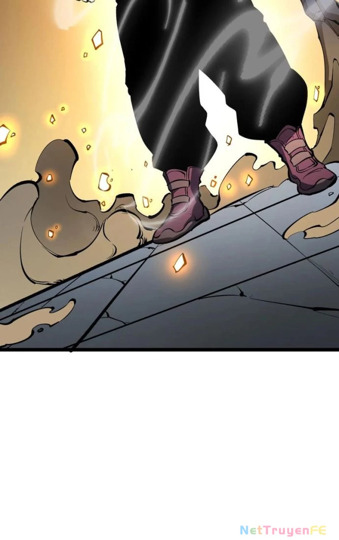 Ta Nhặt Rác Thượng Vương Giả Chapter 31 - Trang 3