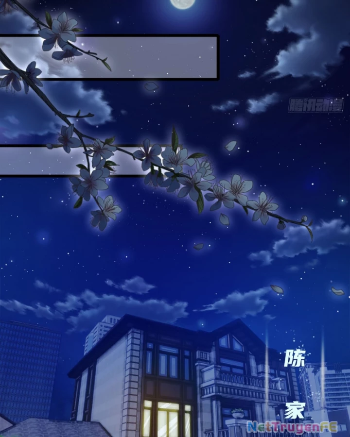 Đô Thị Thánh Thủ: Ta Là Y Võ Đỉnh Phong Chapter 16 - Trang 3