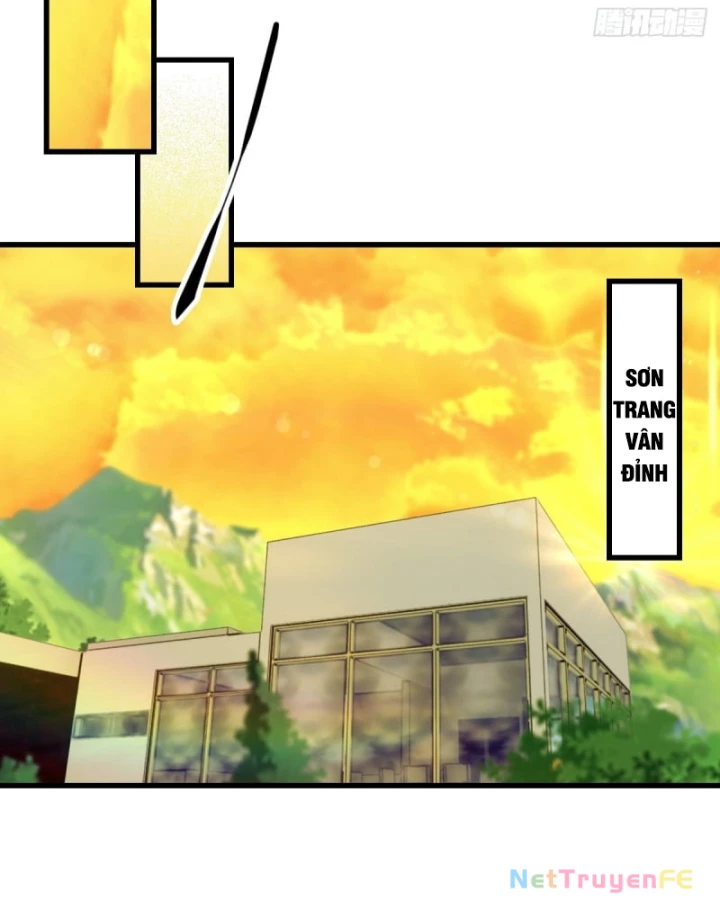 Đô Thị Thánh Thủ: Ta Là Y Võ Đỉnh Phong Chapter 29 - Trang 3