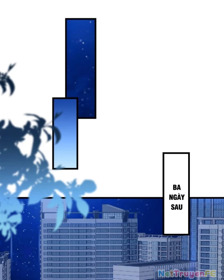 Đô Thị Thánh Thủ: Ta Là Y Võ Đỉnh Phong Chapter 30 - Trang 3