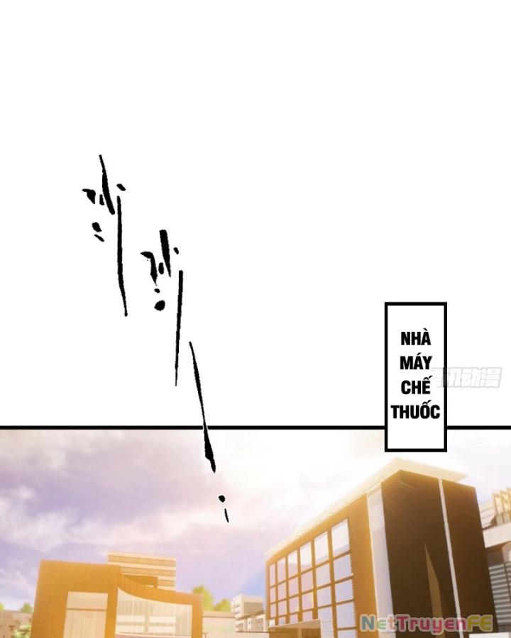 Đô Thị Thánh Thủ: Ta Là Y Võ Đỉnh Phong Chapter 39 - Trang 3