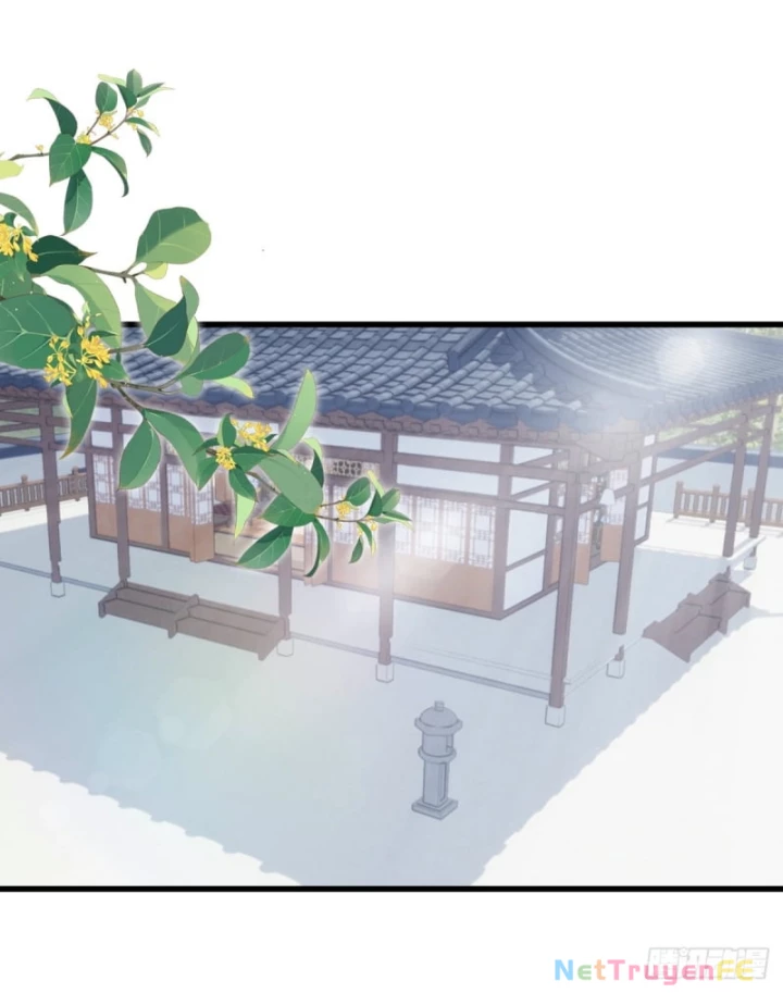 Đô Thị Thánh Thủ: Ta Là Y Võ Đỉnh Phong Chapter 46 - Trang 3