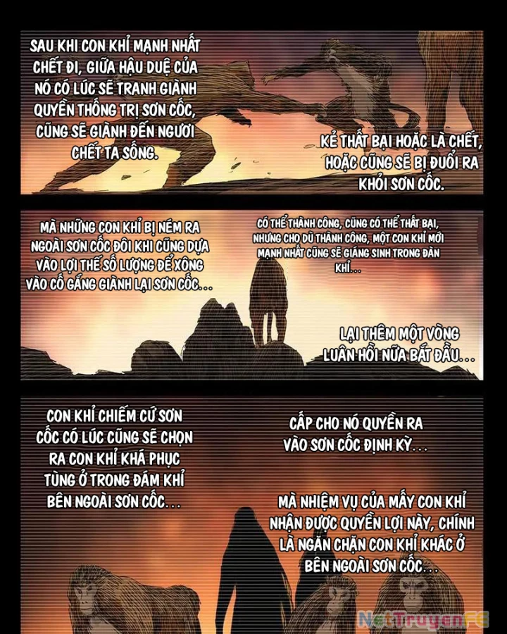 Nhất Nhân Chi Hạ Chapter 356 - Trang 4