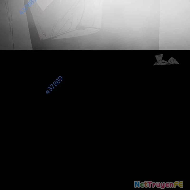 Nhân Vật Chính Ẩn Giấu Sức Mạnh Chapter 31 - Trang 2