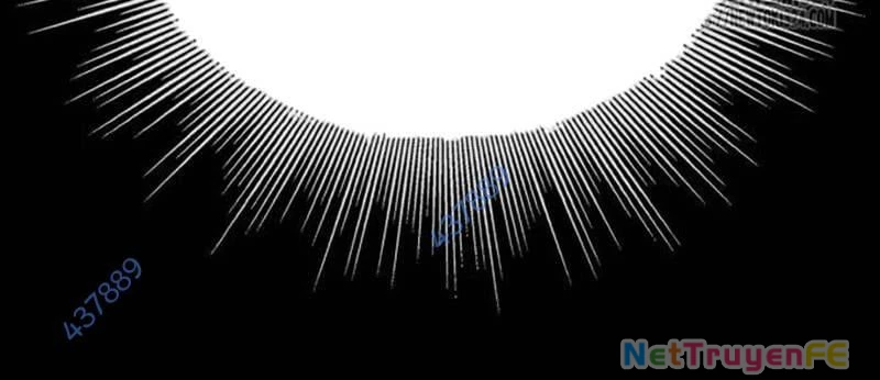 Nhân Vật Chính Ẩn Giấu Sức Mạnh Chapter 36 - Trang 2