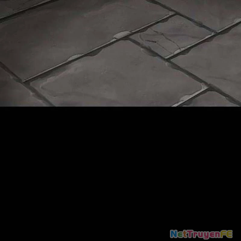 Nhân Vật Chính Ẩn Giấu Sức Mạnh Chapter 37 - Trang 2