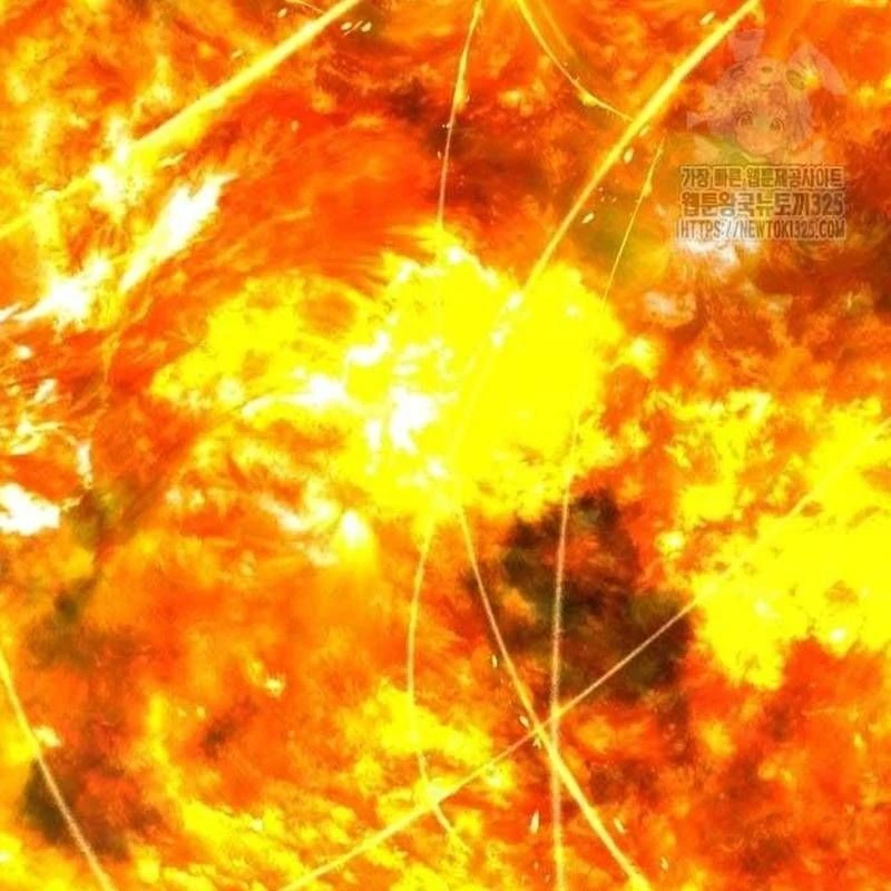 Nhân Vật Chính Ẩn Giấu Sức Mạnh Chapter 38 - Trang 2