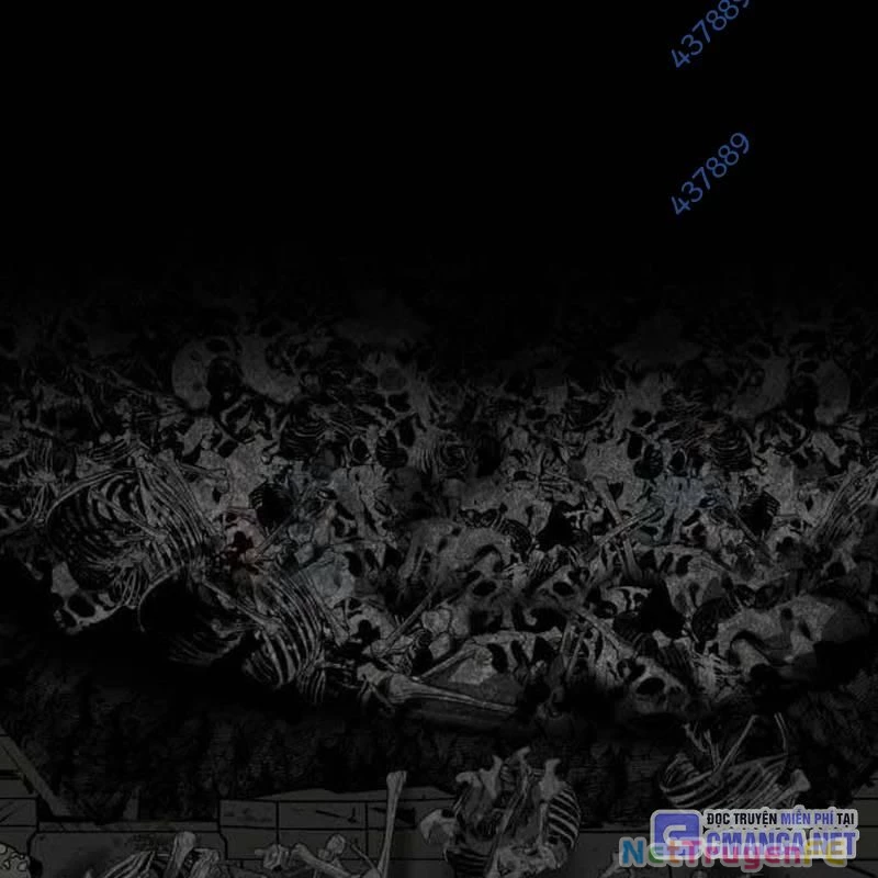 Nhân Vật Chính Ẩn Giấu Sức Mạnh Chapter 43 - Trang 2