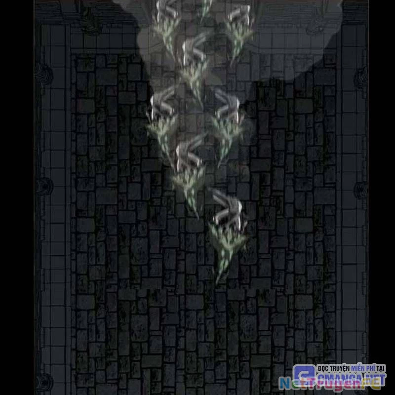 Nhân Vật Chính Ẩn Giấu Sức Mạnh Chapter 43 - Trang 2