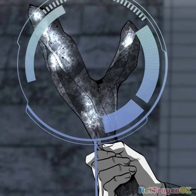 Nhân Vật Chính Ẩn Giấu Sức Mạnh Chapter 45 - Trang 2