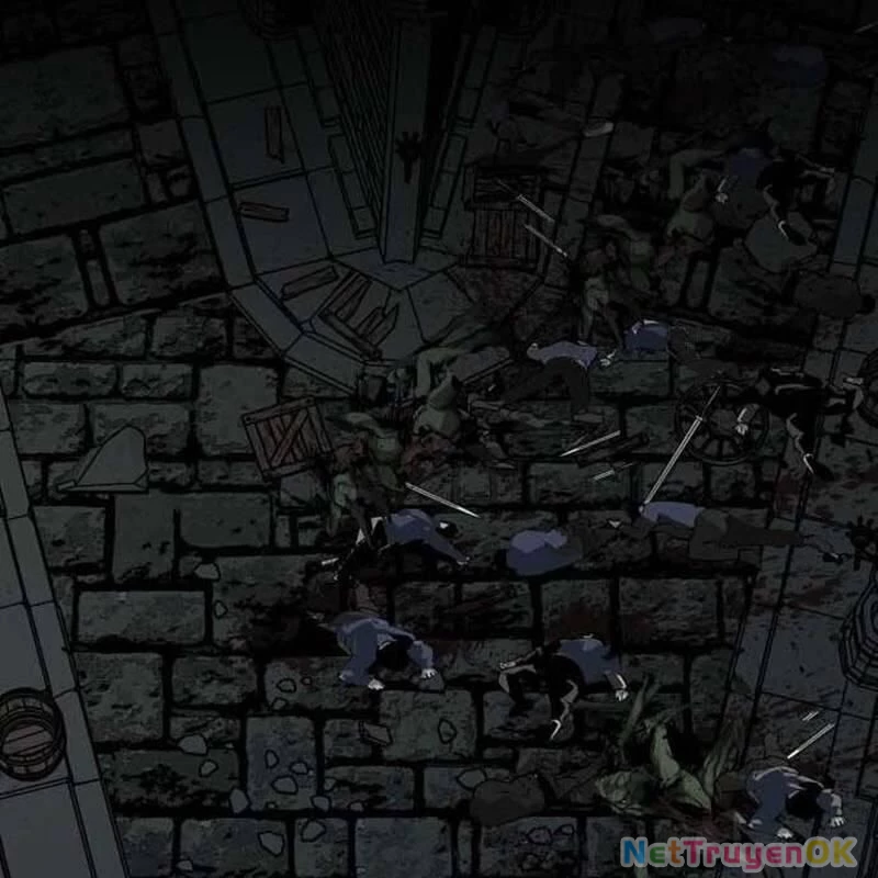 Nhân Vật Chính Ẩn Giấu Sức Mạnh Chapter 46 - Trang 2