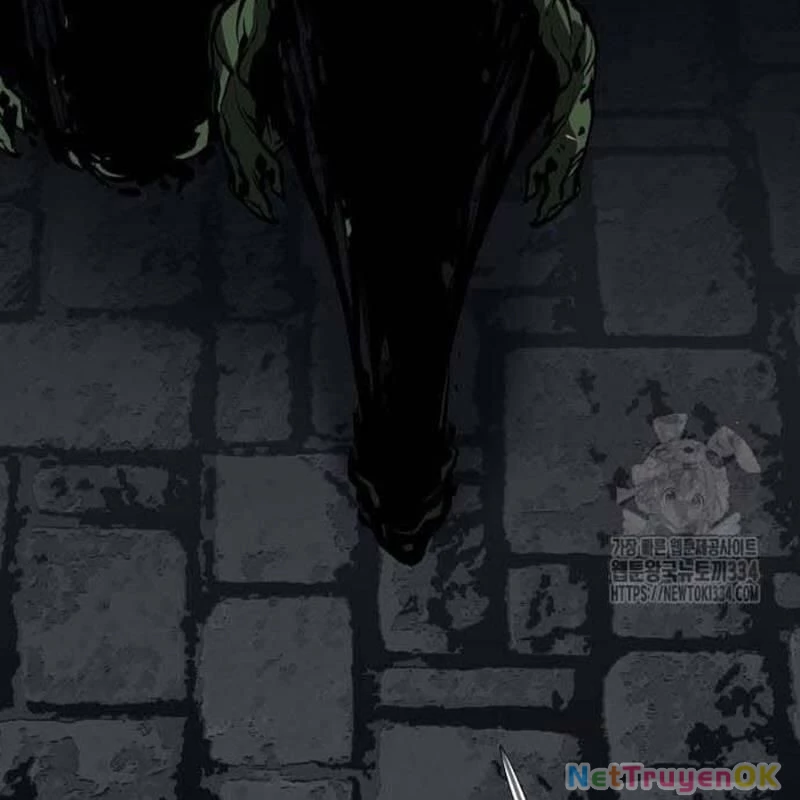 Nhân Vật Chính Ẩn Giấu Sức Mạnh Chapter 46 - Trang 2