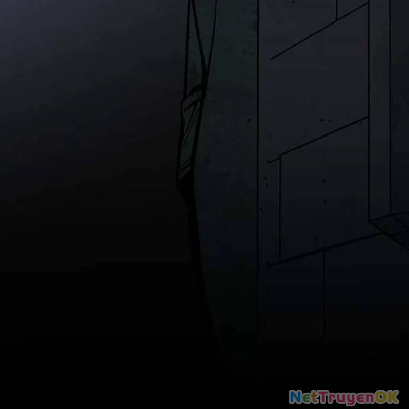 Nhân Vật Chính Ẩn Giấu Sức Mạnh Chapter 46 - Trang 2