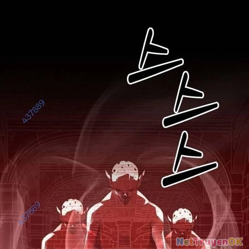 Nhân Vật Chính Ẩn Giấu Sức Mạnh Chapter 46 - Trang 2