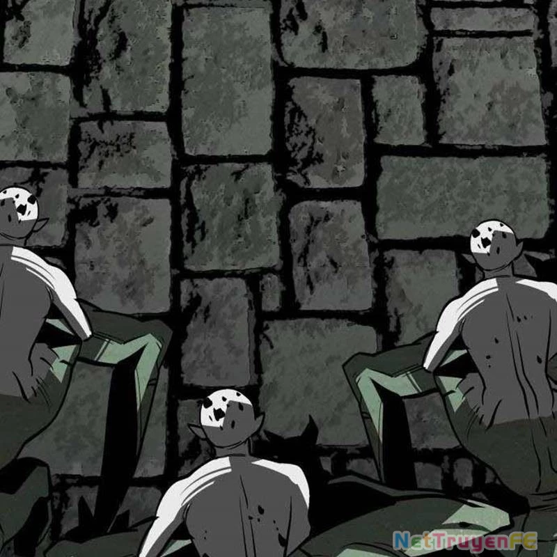 Nhân Vật Chính Ẩn Giấu Sức Mạnh Chapter 47 - Trang 2