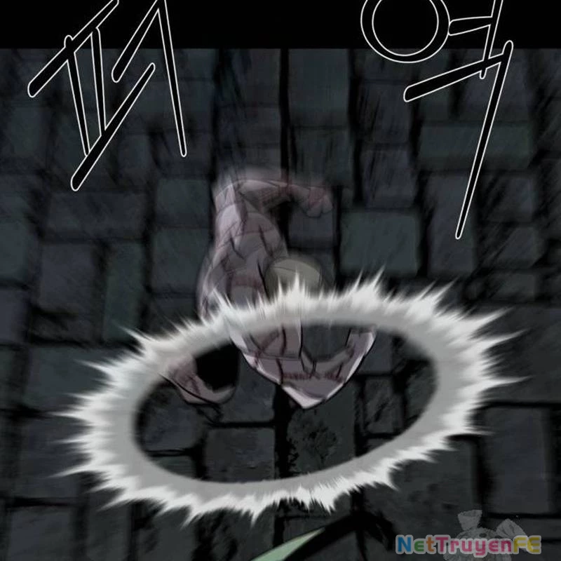 Nhân Vật Chính Ẩn Giấu Sức Mạnh Chapter 47 - Trang 2