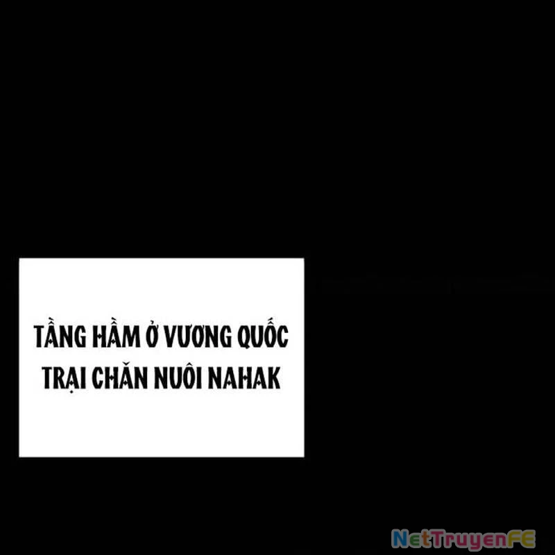 Nhân Vật Chính Ẩn Giấu Sức Mạnh Chapter 51 - Trang 2