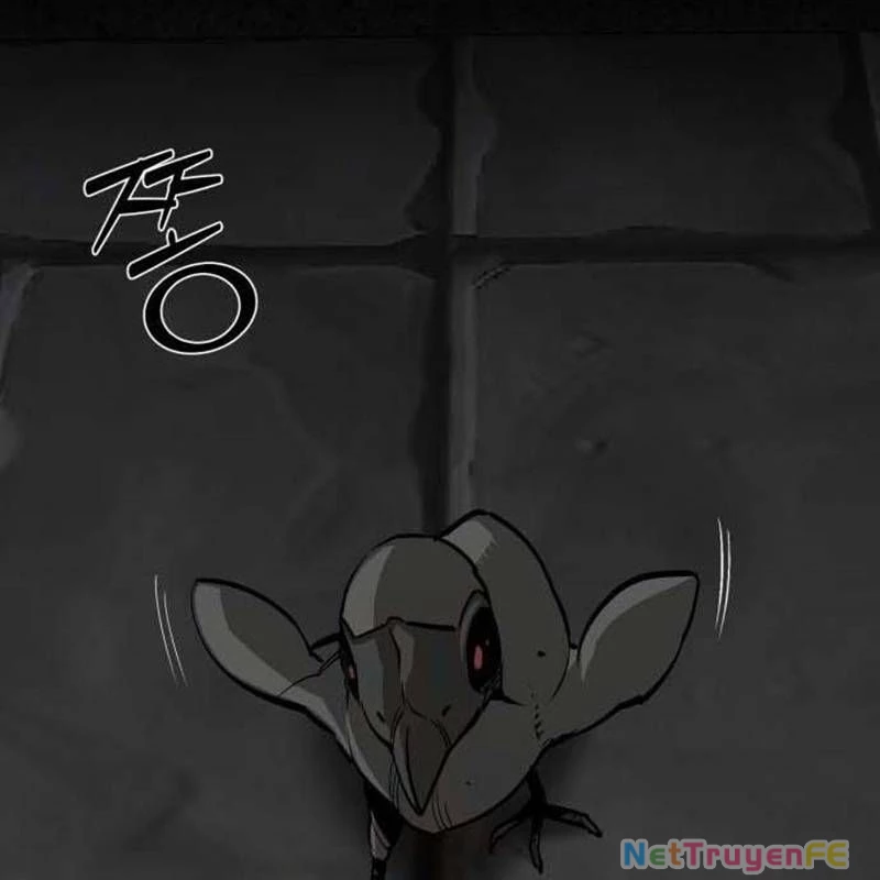 Nhân Vật Chính Ẩn Giấu Sức Mạnh Chapter 52 - Trang 2