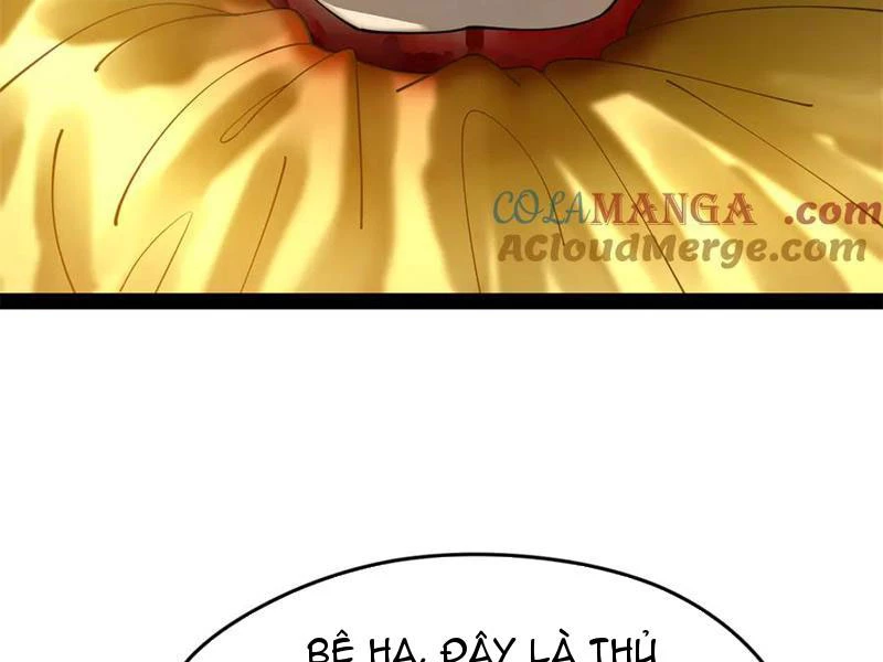 Chàng Rể Mạnh Nhất Lịch Sử Chapter 231 - Trang 4