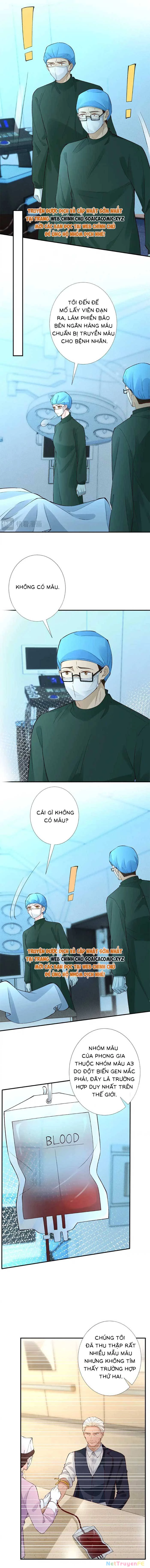 Ôm Khẩn Tiểu Mã Giáp Của Tôi Chapter 329 - Trang 4