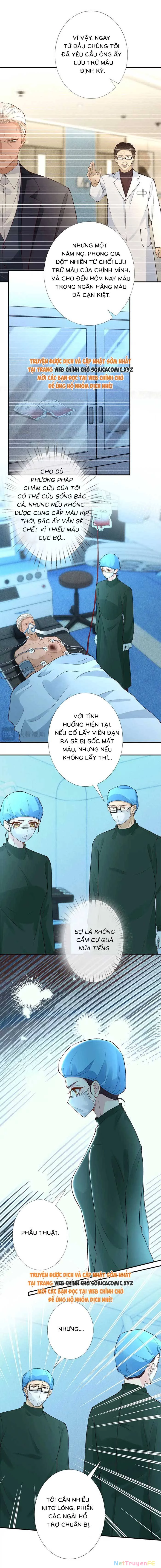 Ôm Khẩn Tiểu Mã Giáp Của Tôi Chapter 329 - Trang 4