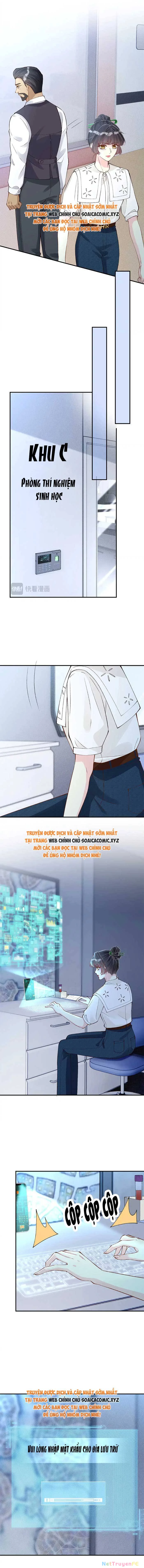 Ôm Khẩn Tiểu Mã Giáp Của Tôi Chapter 329 - Trang 4