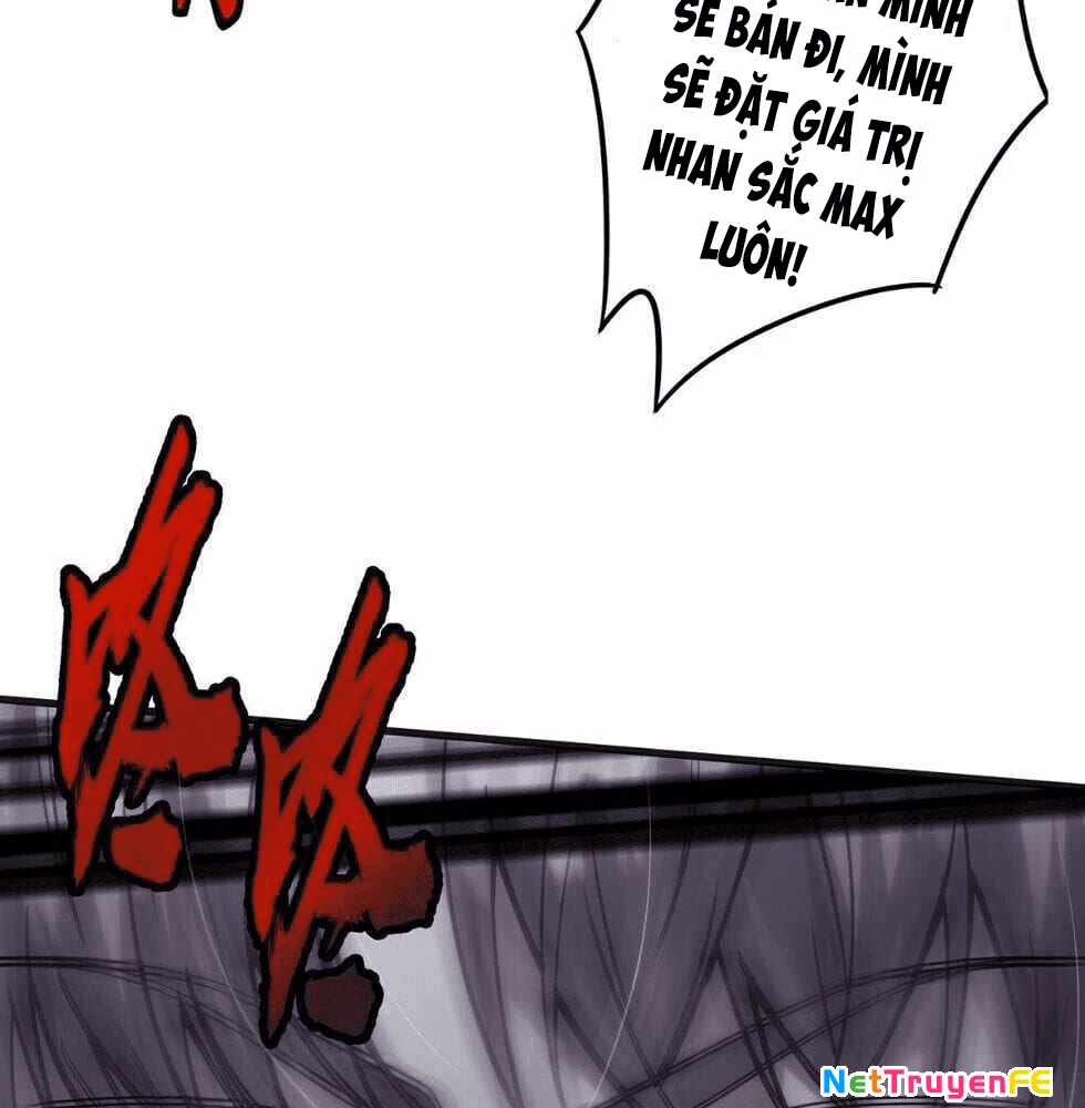 Tài Khoản Này Có Độc Chapter 1 - Trang 4