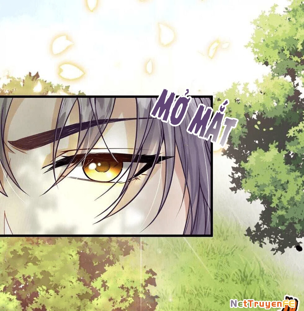 Tài Khoản Này Có Độc Chapter 1 - Trang 4