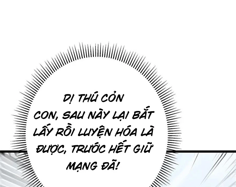 Chưởng Môn Khiêm Tốn Chút Chapter 421 - Trang 4