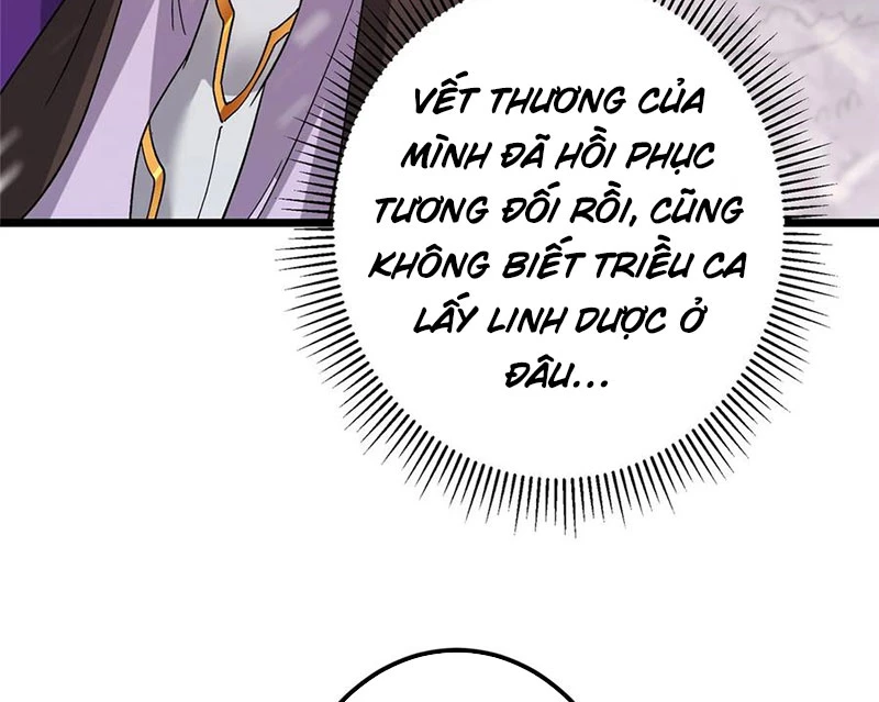 Chưởng Môn Khiêm Tốn Chút Chapter 421 - Trang 4