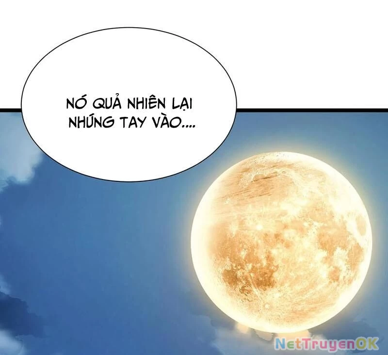 Ta Học Trảm Thần Trong Bệnh Viện Tâm Thần Chapter 152 - Trang 4