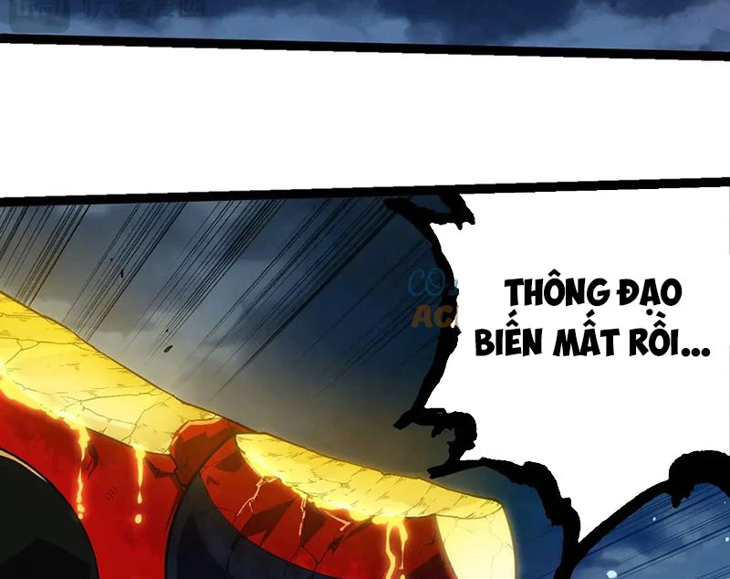 Chuyển Sinh Thành Liễu Đột Biến Chapter 277 - Trang 4
