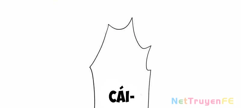 Tân Thủ - Từng Xếp Hạng Nhất Thế Giới Chapter 7 - Trang 2