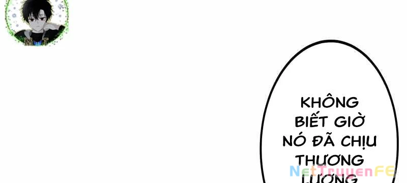Tân Thủ - Từng Xếp Hạng Nhất Thế Giới Chapter 7 - Trang 2