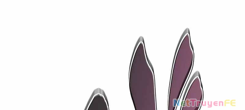 Tân Thủ - Từng Xếp Hạng Nhất Thế Giới Chapter 8 - Trang 2