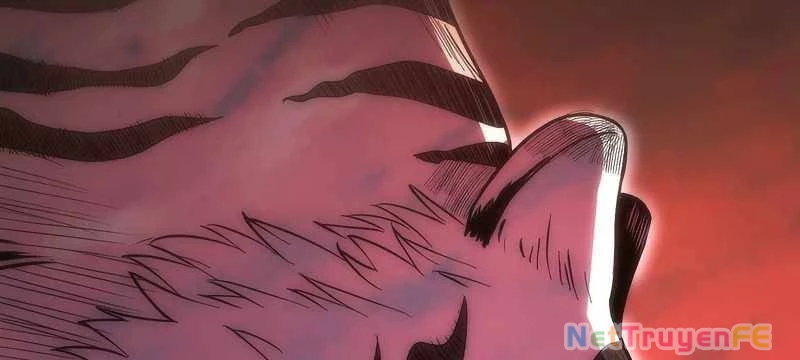 Tân Thủ - Từng Xếp Hạng Nhất Thế Giới Chapter 8 - Trang 2