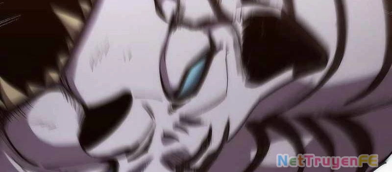 Tân Thủ - Từng Xếp Hạng Nhất Thế Giới Chapter 8 - Trang 2