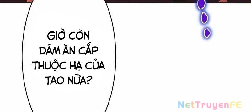 Tân Thủ - Từng Xếp Hạng Nhất Thế Giới Chapter 8 - Trang 2