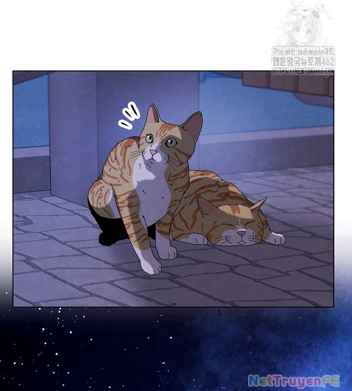 Sống Như Một Diễn Viên Chapter 103 - Trang 4