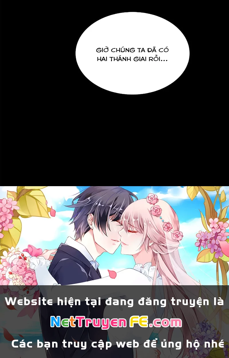 Tinh Giáp Hồn Tướng Chapter 230 - Trang 4