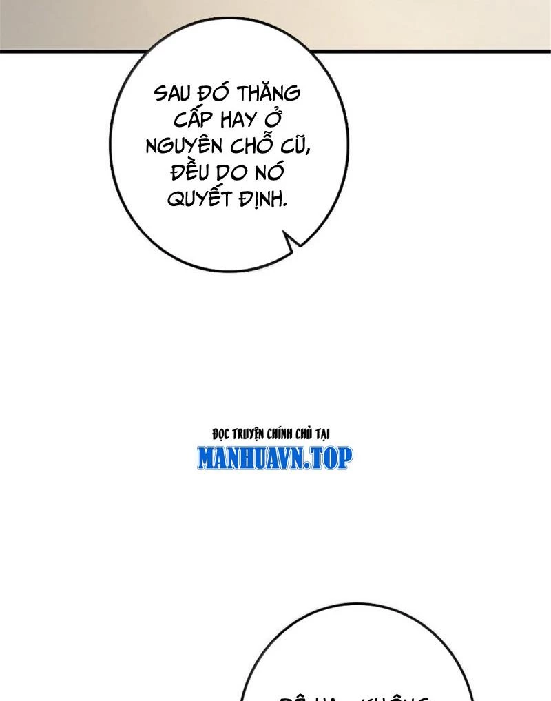 Thả Vu Nữ Đó Ra Chapter 607 - Trang 4