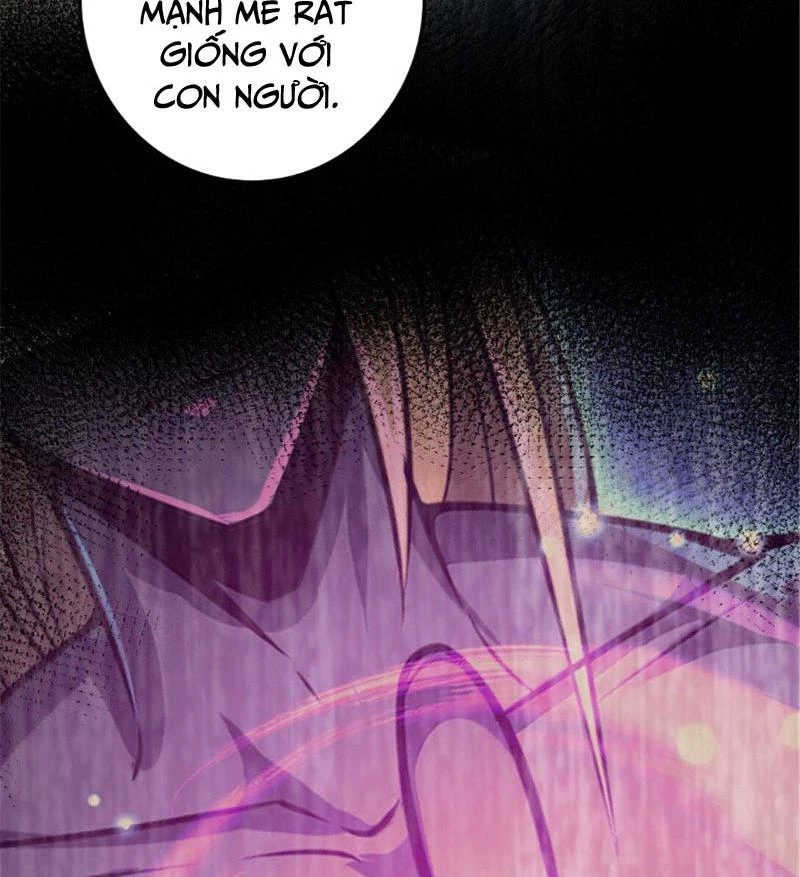 Thả Vu Nữ Đó Ra Chapter 608 - Next Chapter 609