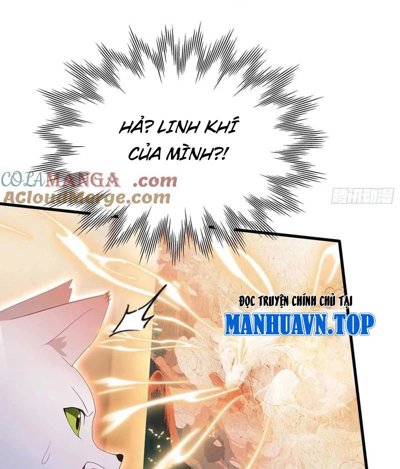 Hoá Ra Ta Đã Vô Địch Từ Lâu Chapter 178 - Trang 4